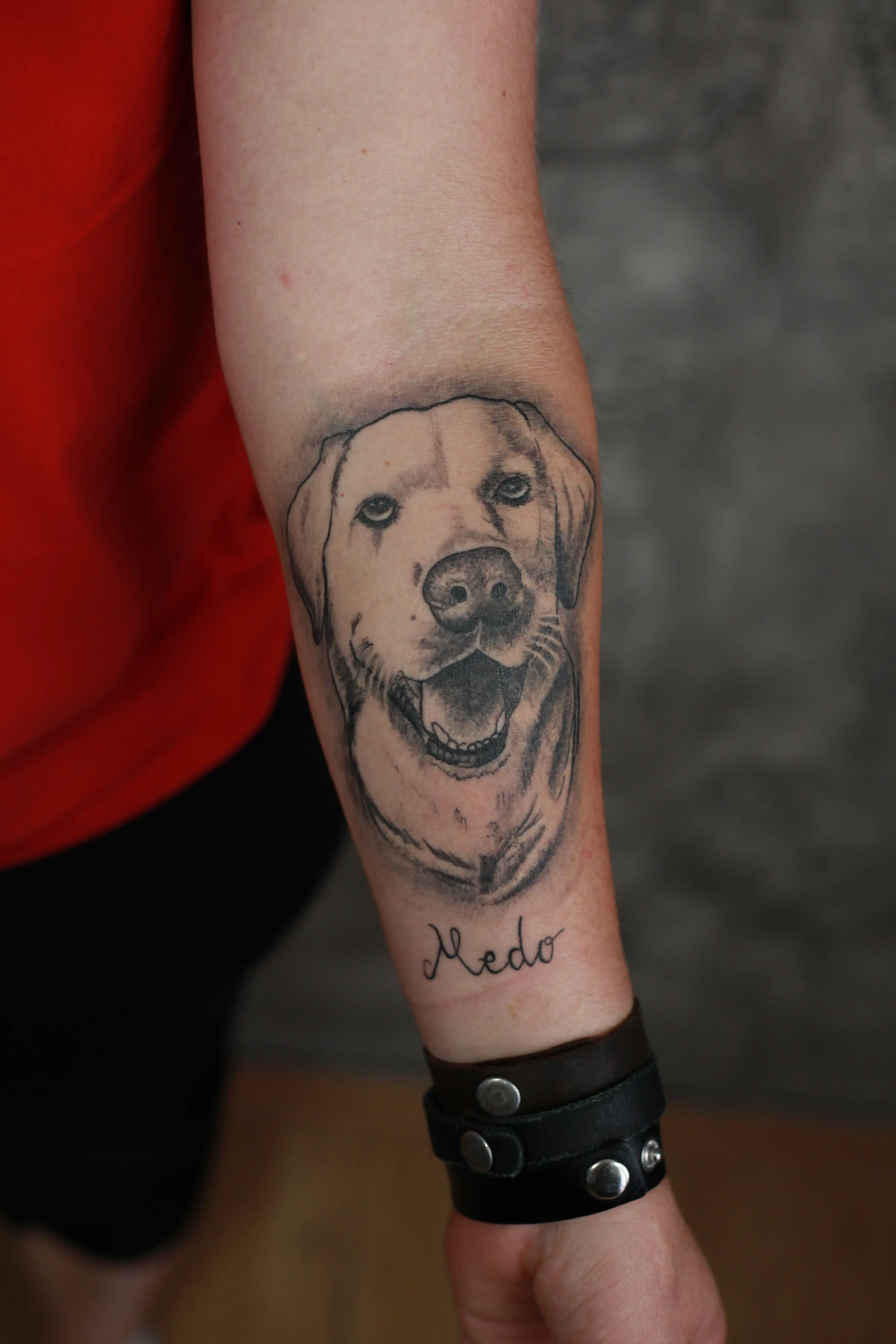 Labrador - detalj tetovaže 2